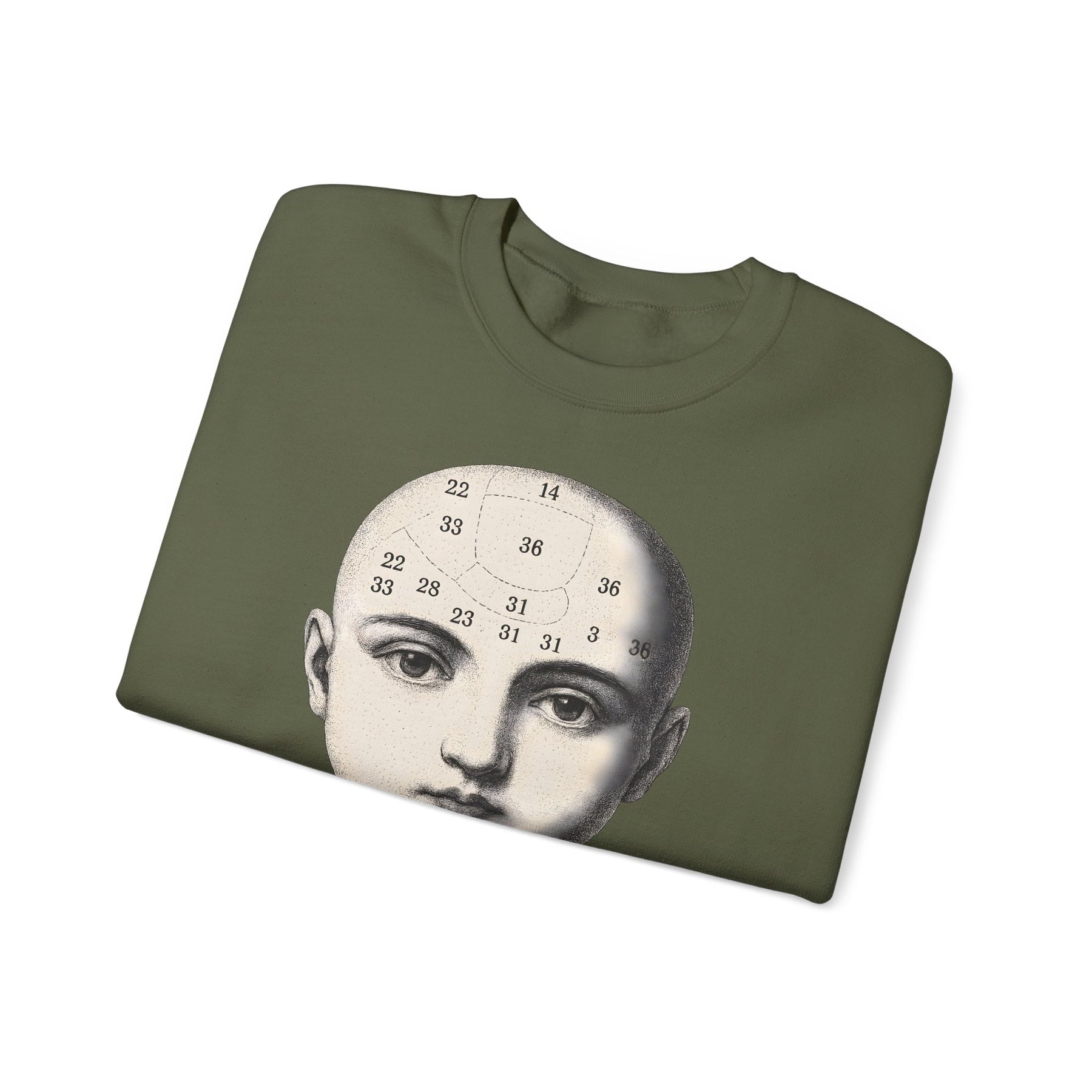 Vintage Motiv – Phrenologie Sweatshirt – Vintage-Schädelstudie „Fig. 12“ | True Insights Design mit Humor