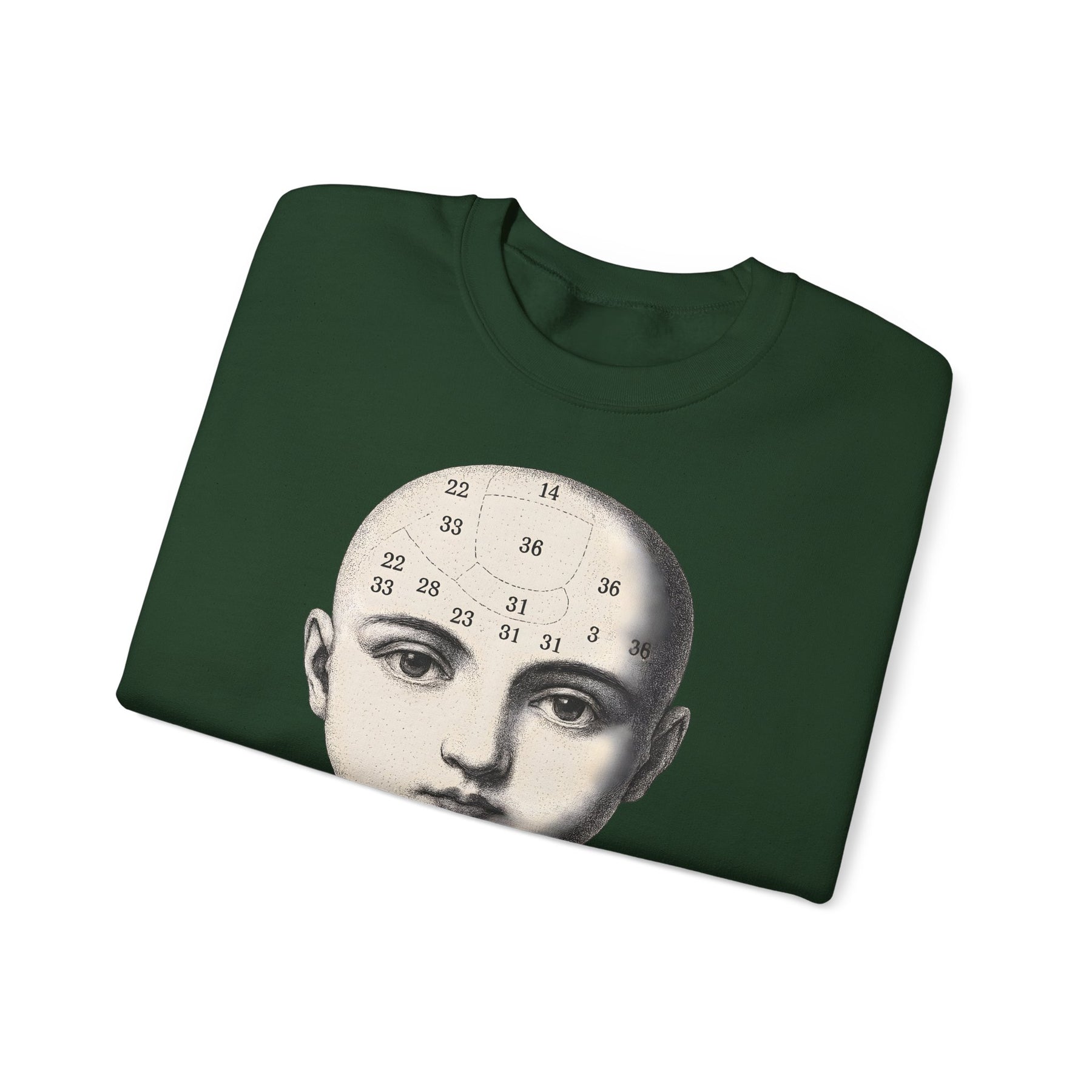 Vintage Motiv – Phrenologie Sweatshirt – Vintage-Schädelstudie „Fig. 12“ | True Insights Design mit Humor