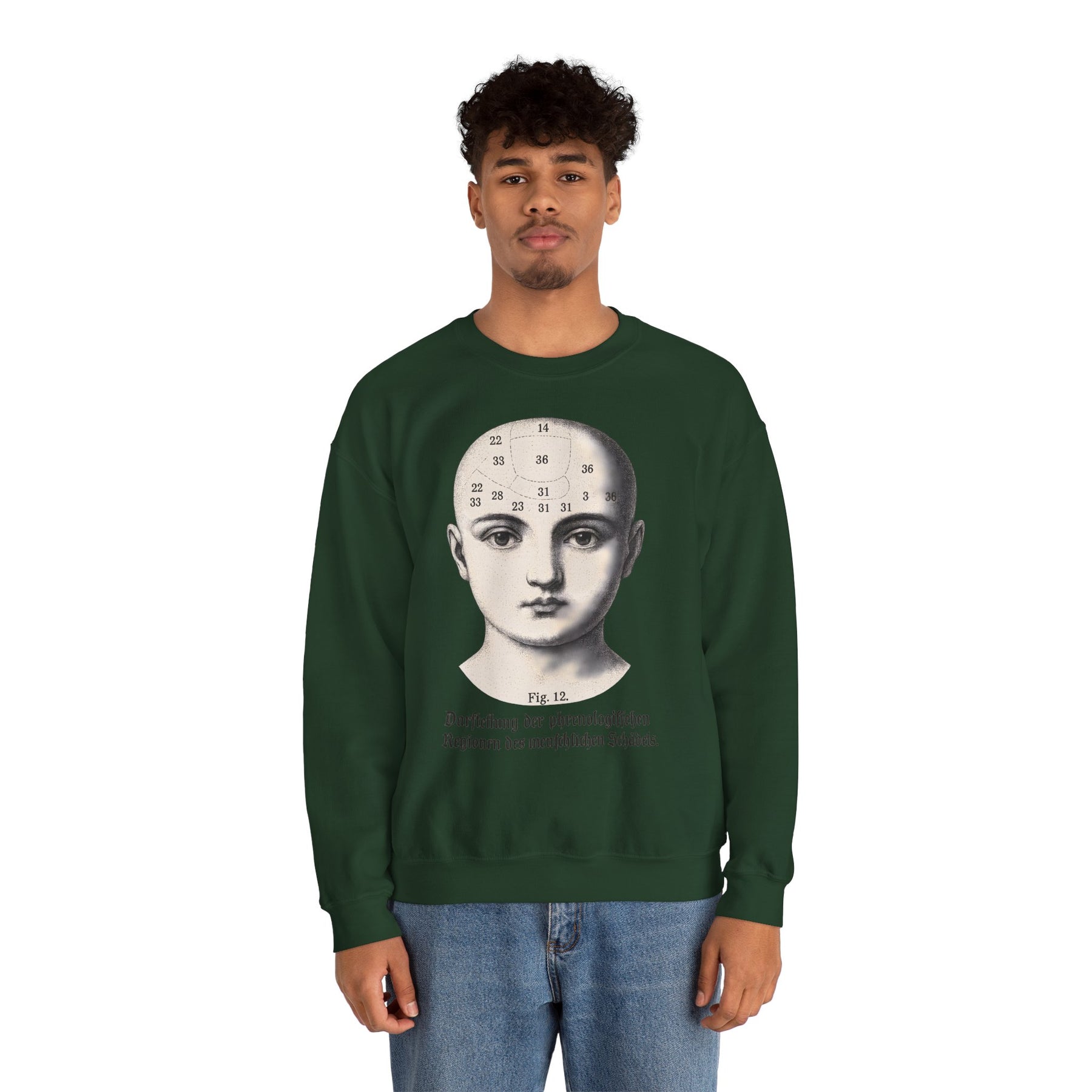 Vintage Motiv – Phrenologie Sweatshirt – Vintage-Schädelstudie „Fig. 12“ | True Insights Design mit Humor