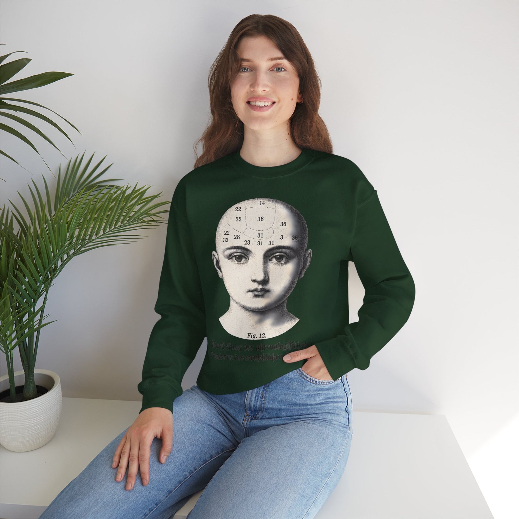 Vintage Motiv – Phrenologie Sweatshirt – Vintage-Schädelstudie „Fig. 12“ | True Insights Design mit Humor