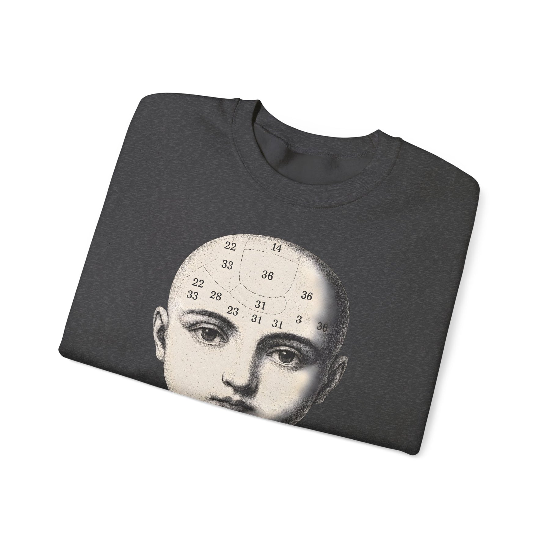 Vintage Motiv – Phrenologie Sweatshirt – Vintage-Schädelstudie „Fig. 12“ | True Insights Design mit Humor