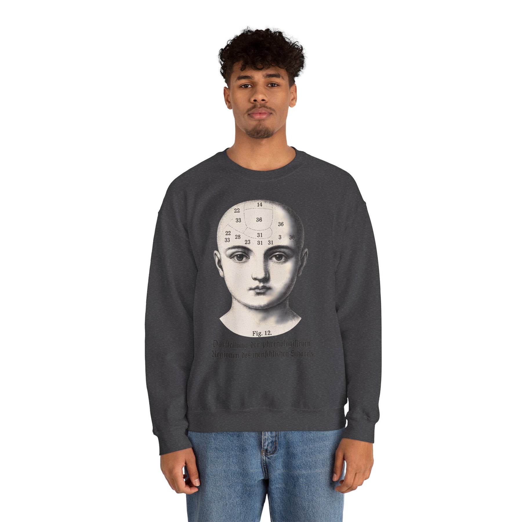 Vintage Motiv – Phrenologie Sweatshirt – Vintage-Schädelstudie „Fig. 12“ | True Insights Design mit Humor