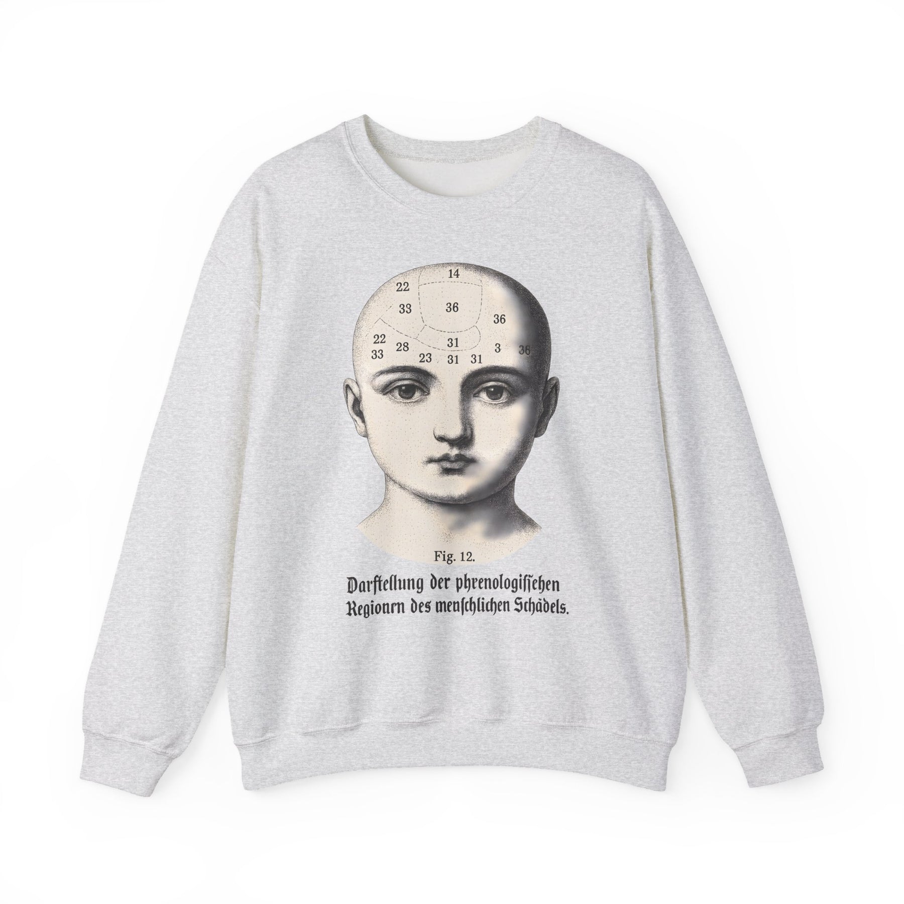 Vintage Motiv – Phrenologie Sweatshirt – Vintage-Schädelstudie „Fig. 12“ | True Insights Design mit Humor