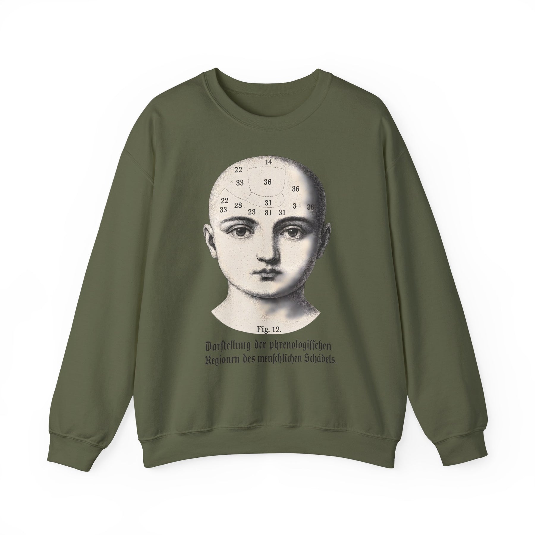 Vintage Motiv – Phrenologie Sweatshirt – Vintage-Schädelstudie „Fig. 12“ | True Insights Design mit Humor