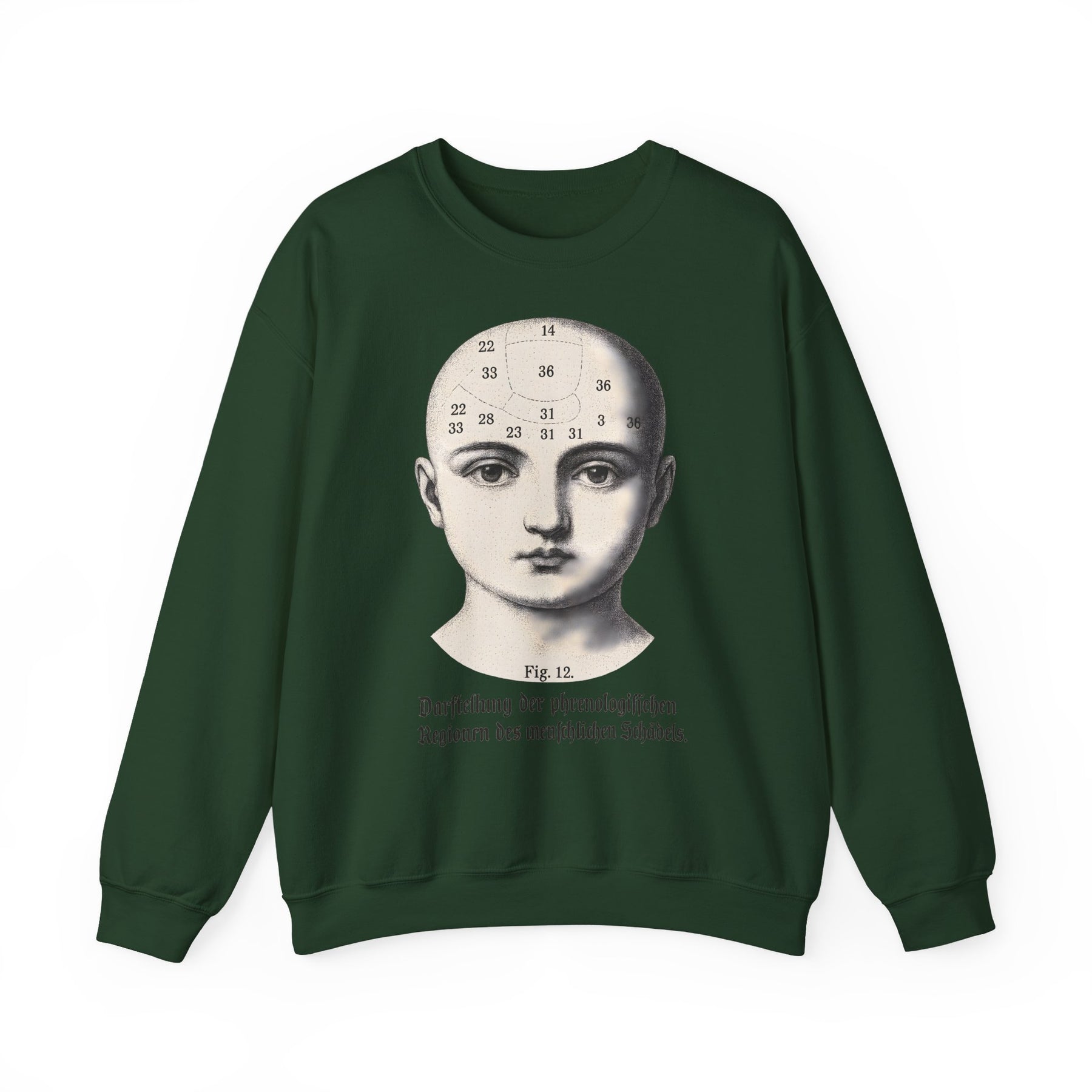 Vintage Motiv – Phrenologie Sweatshirt – Vintage-Schädelstudie „Fig. 12“ | True Insights Design mit Humor