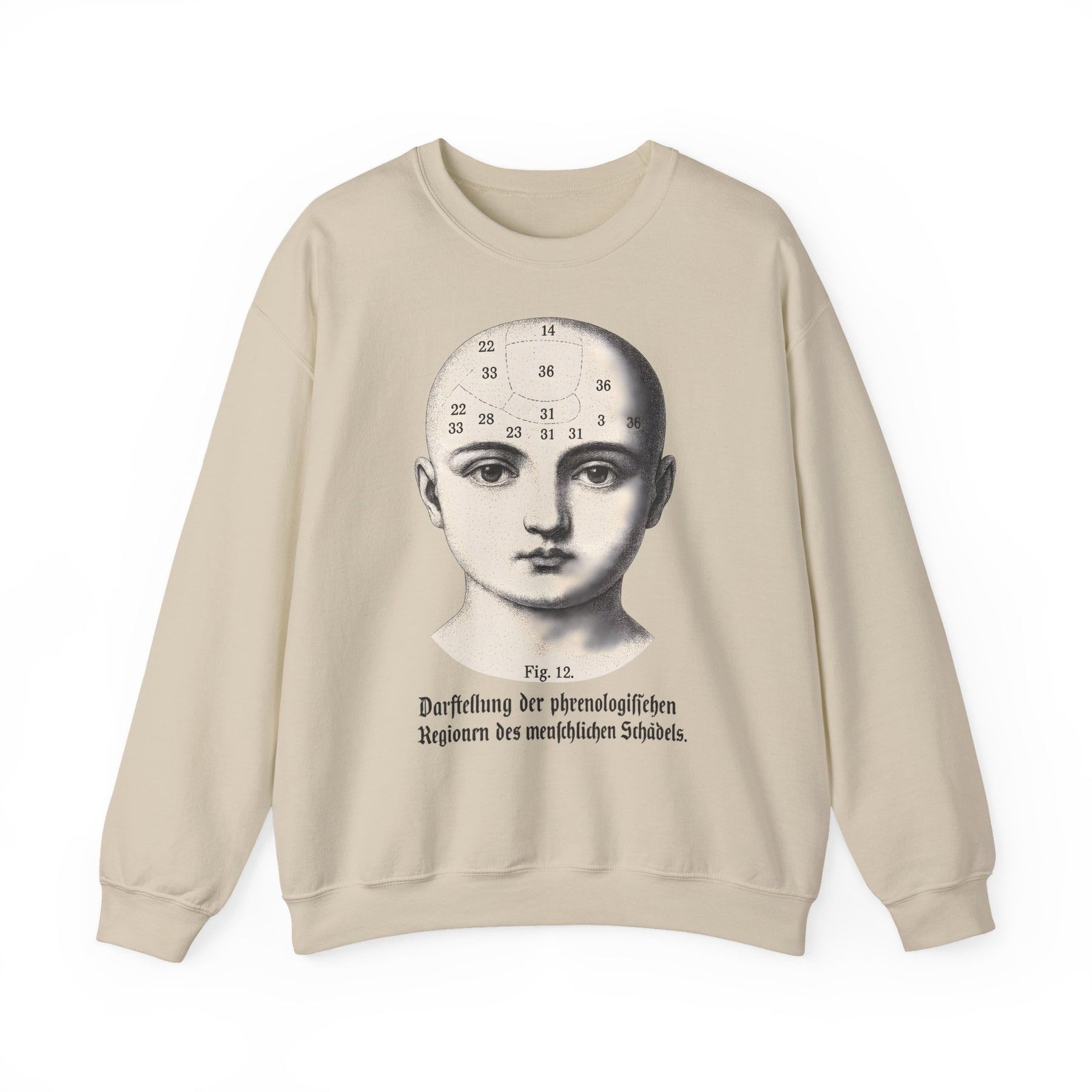 Vintage Motiv – Phrenologie Sweatshirt – Vintage-Schädelstudie „Fig. 12“ | True Insights Design mit Humor