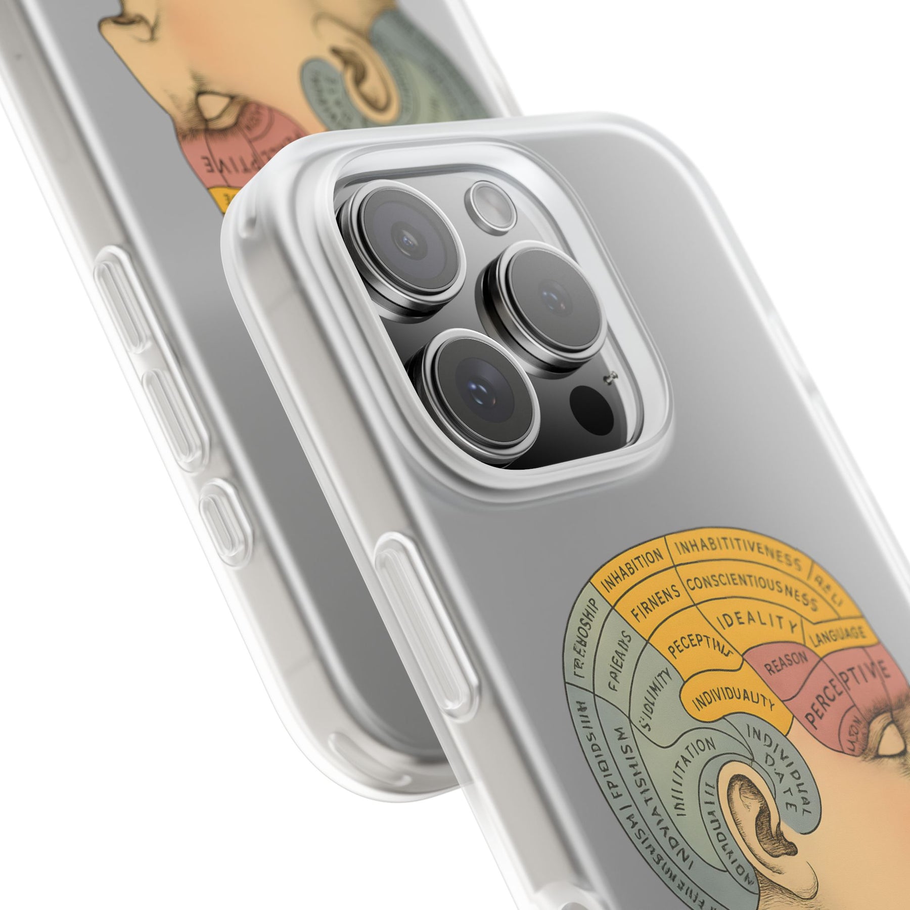 Vintage Motiv – Satirische Handyhülle mit Hirn-Stil Phrenologie Kortex Couture | True Insights Design mit Humor