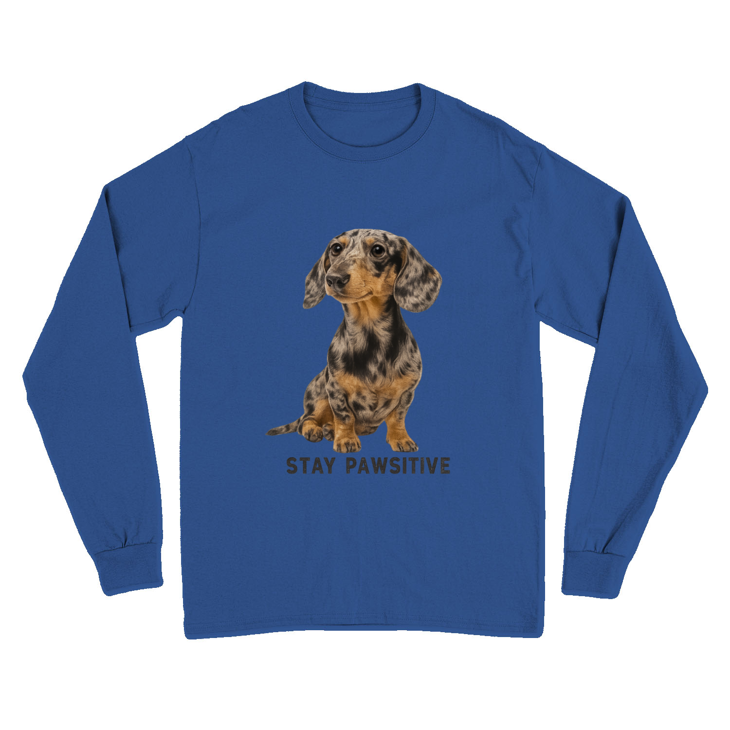 Stay Pawsitive Sweatshirt – Dackel-Power für warme, positive Tage-Sweatshirt-True Insights