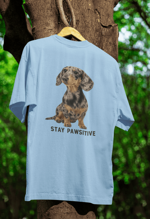 Hellblaues T-Shirt mit Dackel-Motiv und Schriftzug Stay-Pawsitive im realistischen Aquarell-Stil fuer Hundeliebhaber.