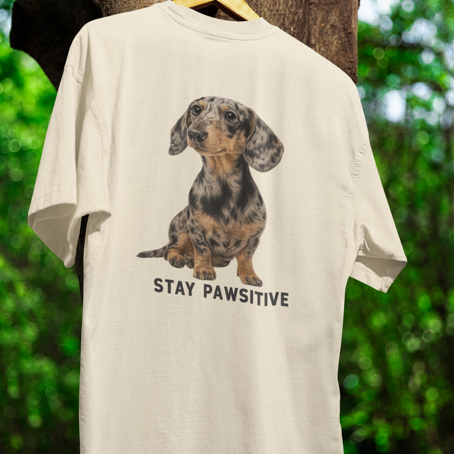 Dackel Edition - Der Kult auf vier Pfoten.