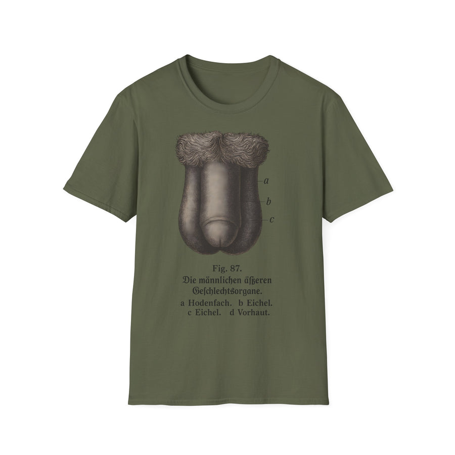 T-Shirt: „Fig. 87 – Die männlichen äußeren Geschlechtsorgane“