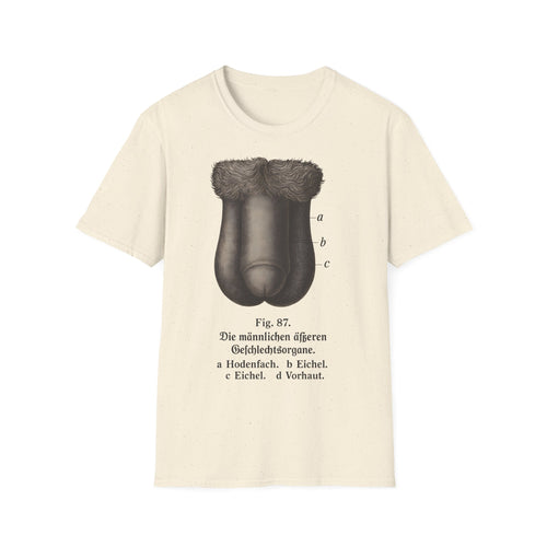 T-Shirt: “Fig. 87 – The male external genitalia”
