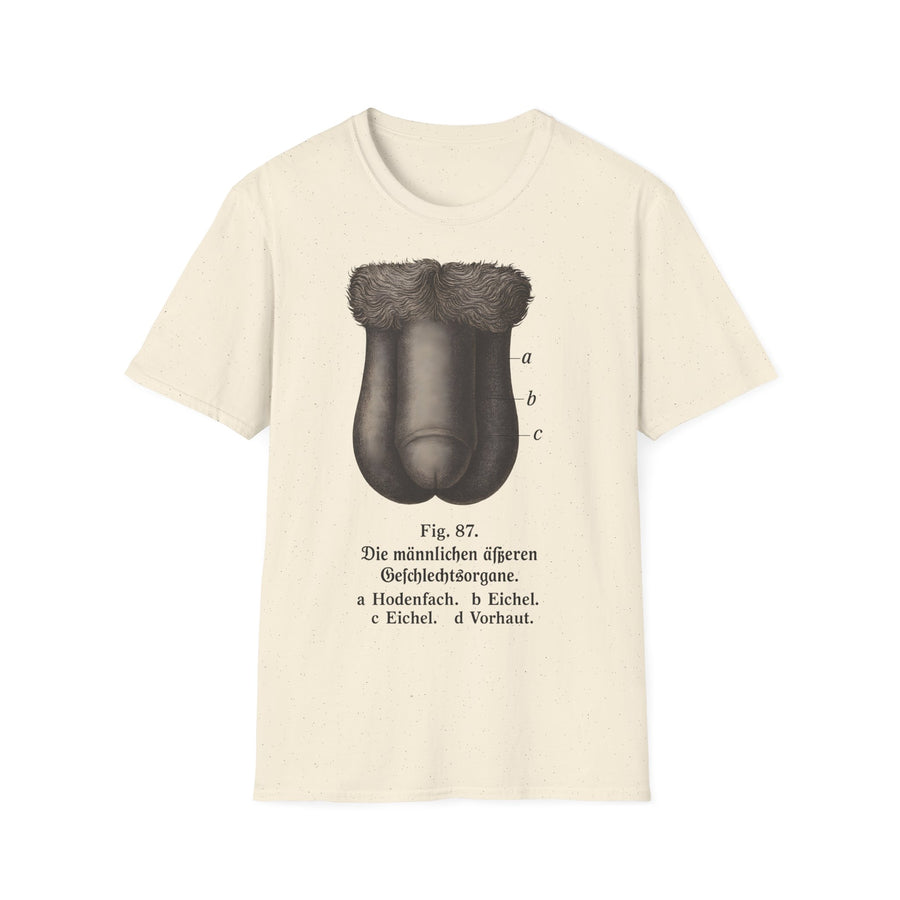 T-Shirt: „Fig. 87 – Die männlichen äußeren Geschlechtsorgane“